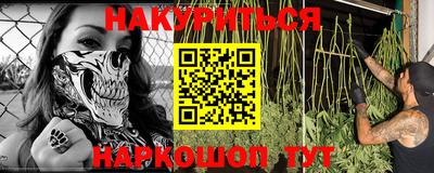 гидра Гатчина