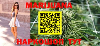 гидра Гатчина