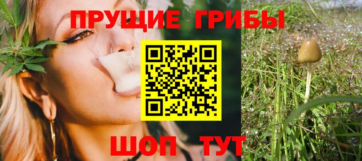 Галлюциногенные грибы Psilocybe  Вход с VPN  Галлюциногенные грибы прущие грибы  Искитим 
