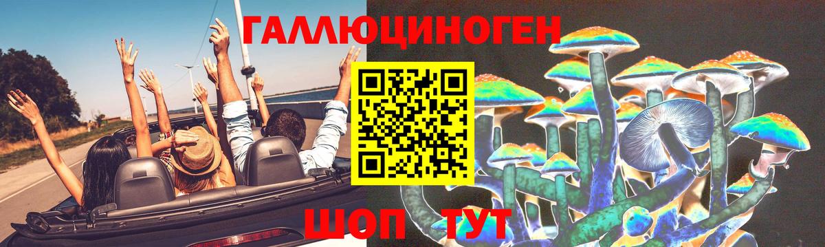 Псилоцибиновые грибы мицелий Искитим
