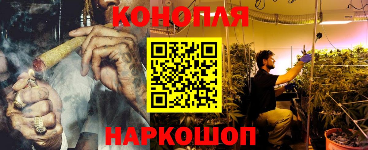 Канабис ГИДРОПОН Искитим